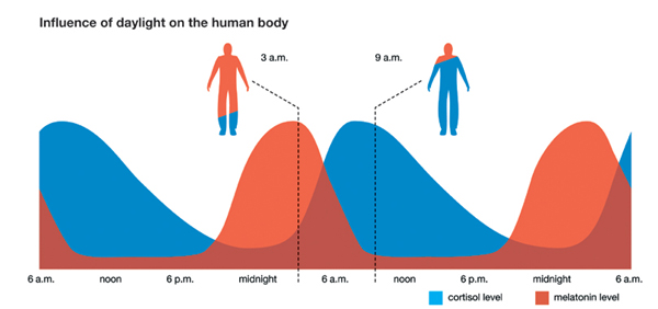 Functional Medicine - Cortisol and Melatonin