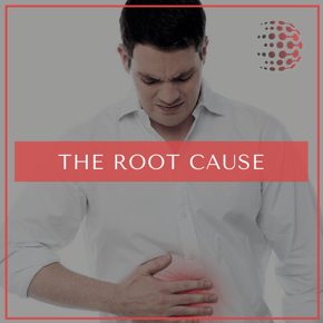 Blog - Root Cause