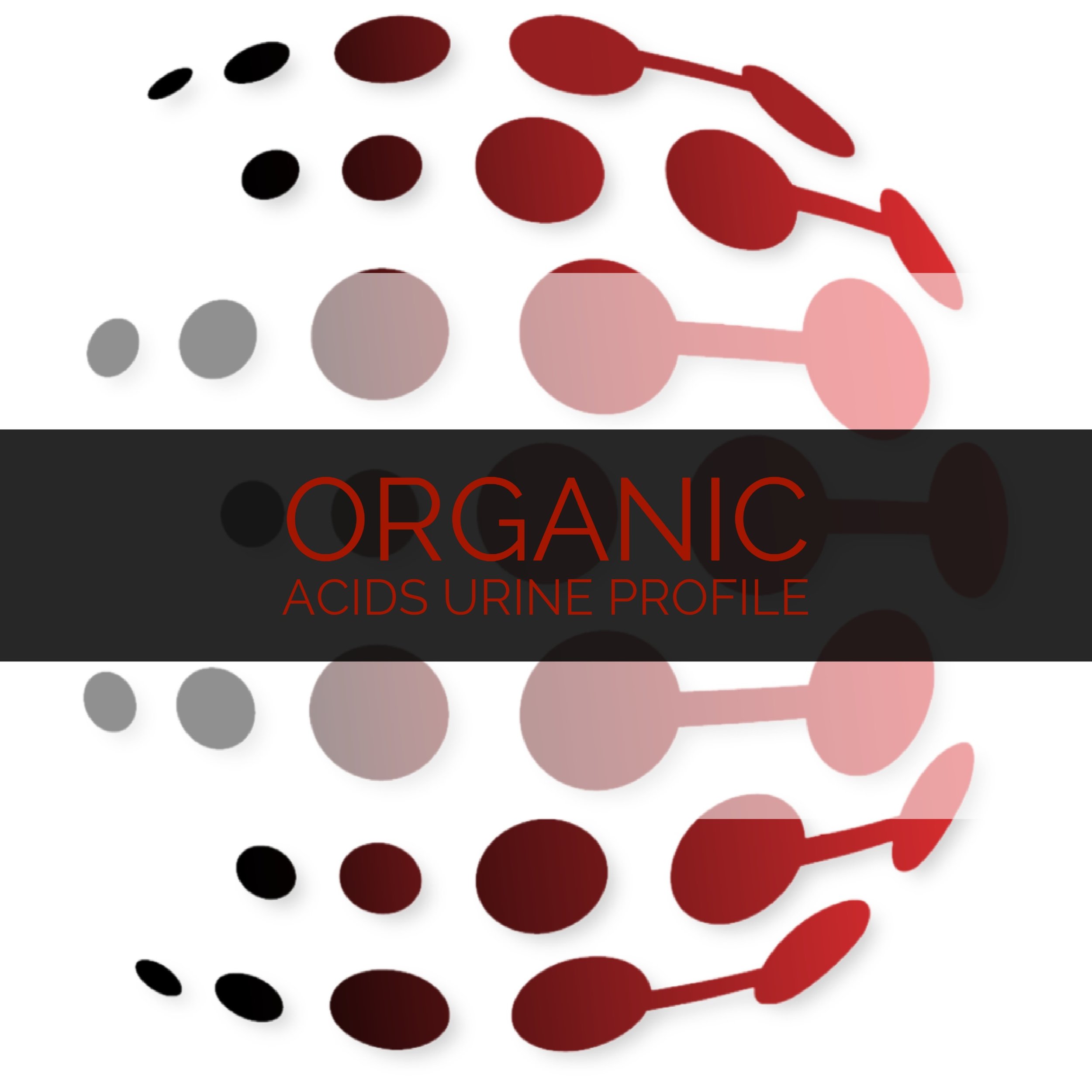 Organic Acids Urine Profile