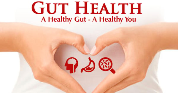 Gut health, probiotics