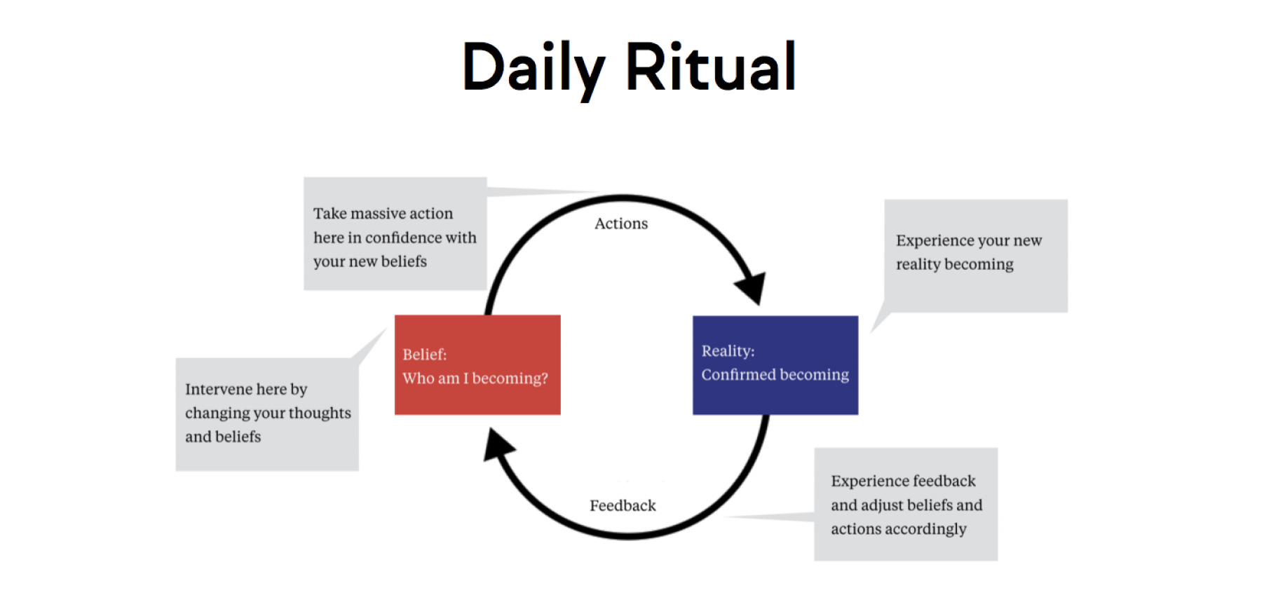 behavioral intentionalist